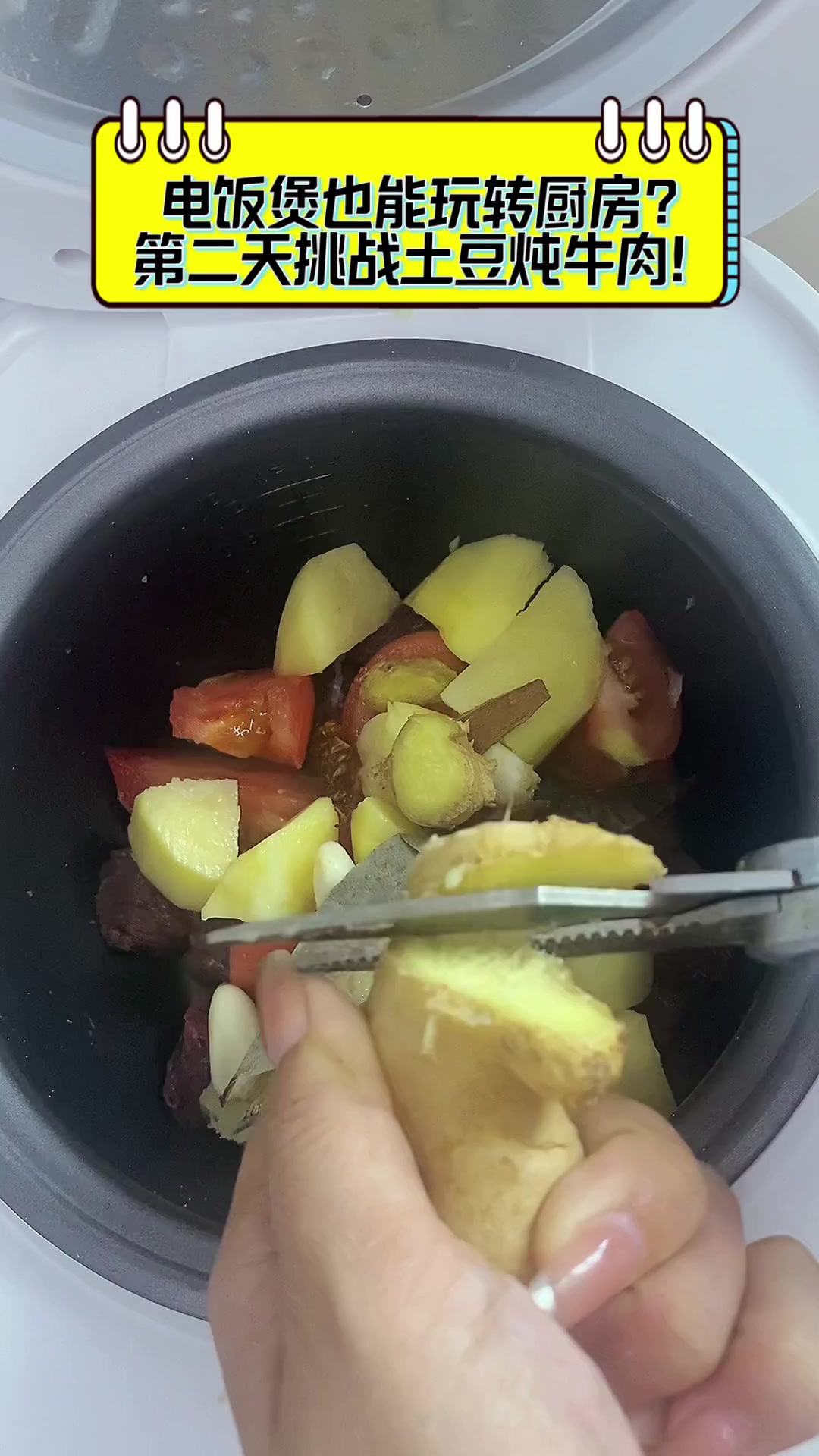 电饭煲也能玩转厨房?第二天挑战土豆炖牛肉!