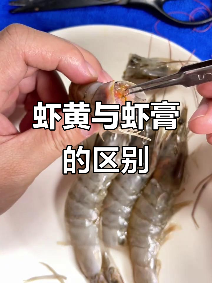 养殖虾和野生虾的“黄”区别，了解什么是真正的虾膏