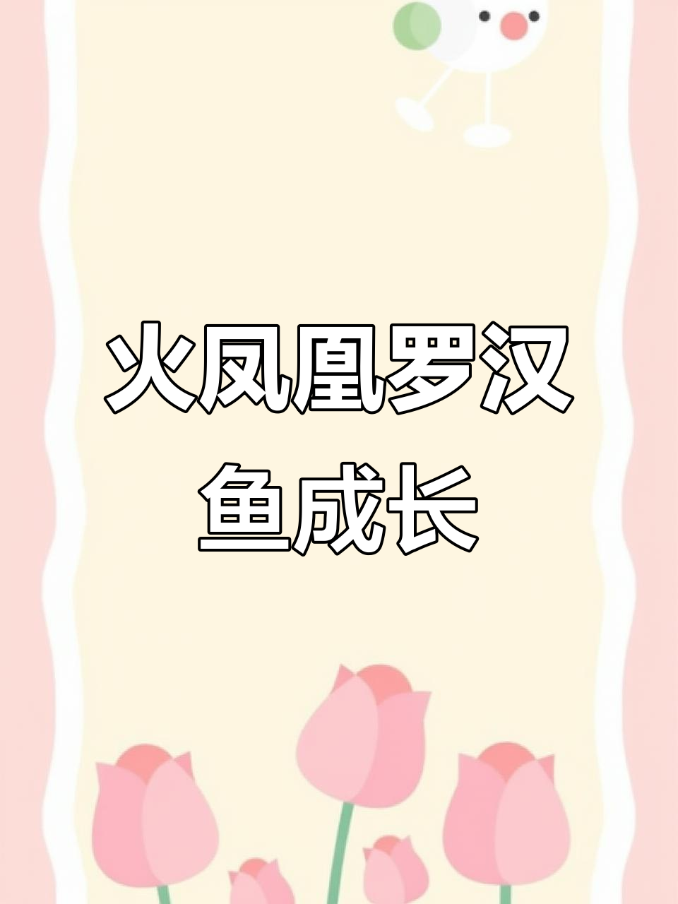 罗汉鱼苗成长记:从两条到只剩一条,变化惊人