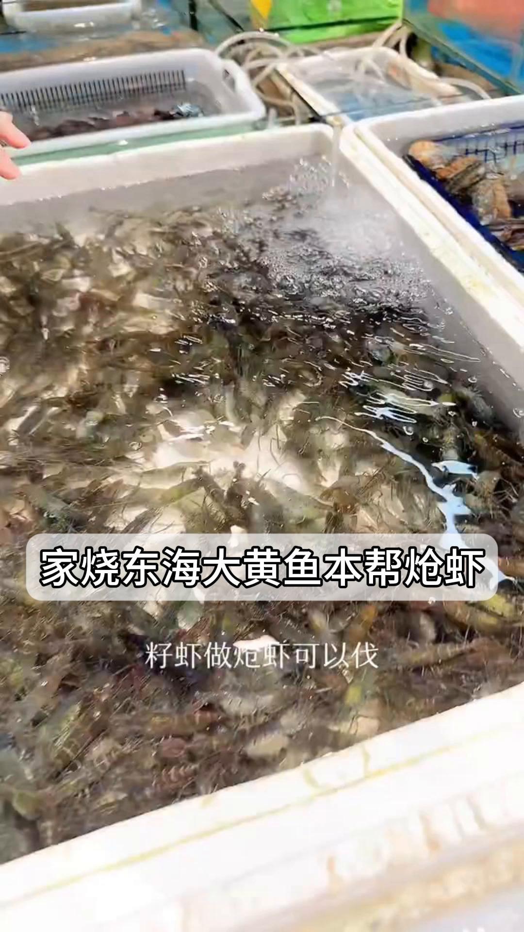 家烧东海大黄鱼本帮炝虾