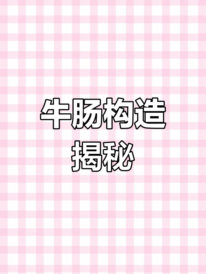 牛肠道结构解析