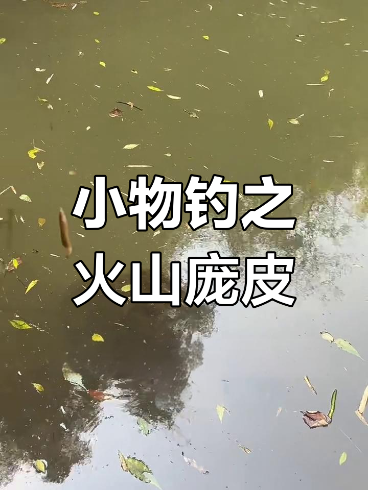 火山鳑鲏钓之旅:泥鳅与精品鱼的奇妙相遇