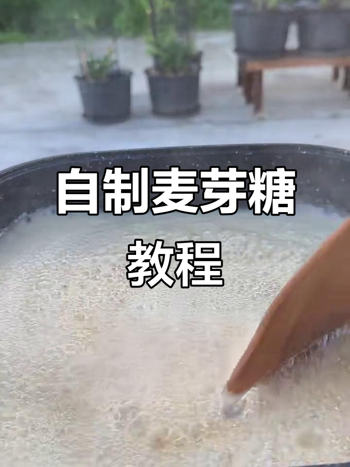 小麦与糯米碰撞,自制麦芽糖的神奇反应