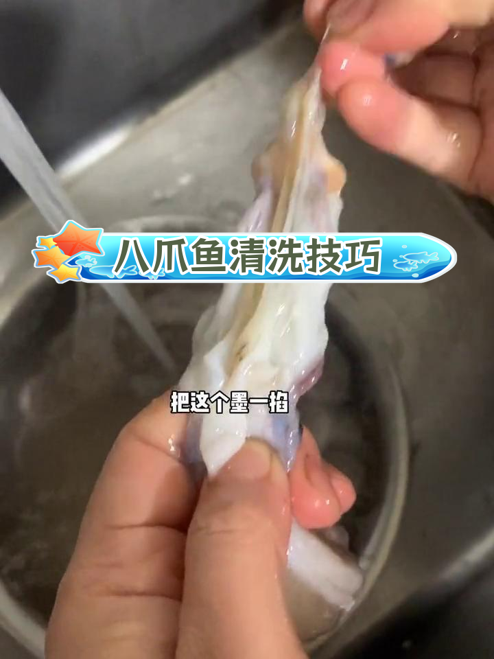 八爪鱼清洗全攻略,去除墨汁和嘴部