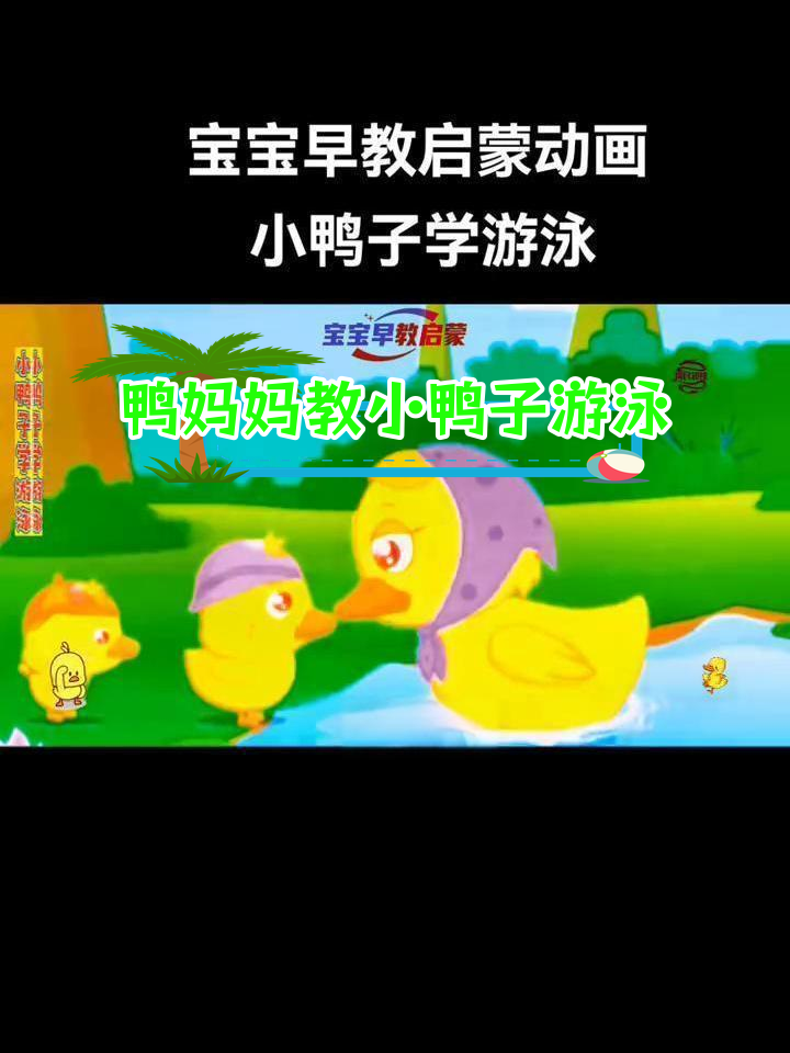 小鸭子学游泳,勇敢尝试