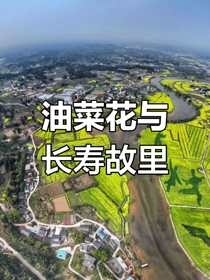 重庆潼南,油菜花海中的长寿老人故乡,春季美景如画