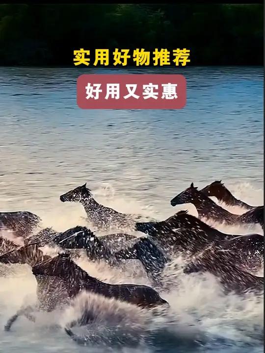 厨房水槽弹跳芯洗菜盆下水过滤网