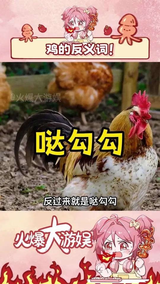 速来学习反义词!