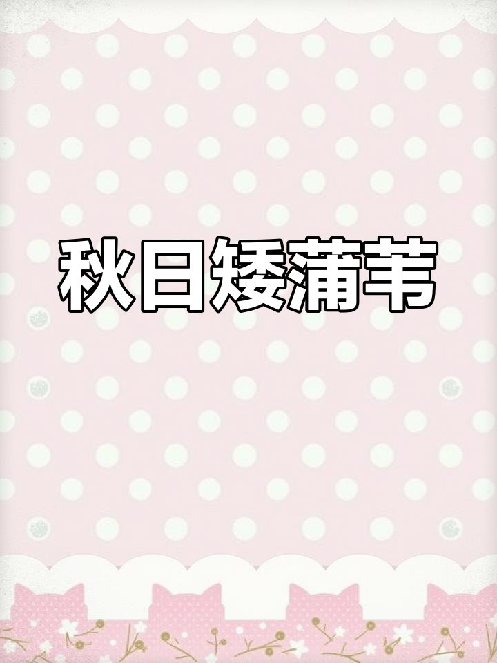 矮蒲苇秋季美如画,管理简单,适合园林绿化