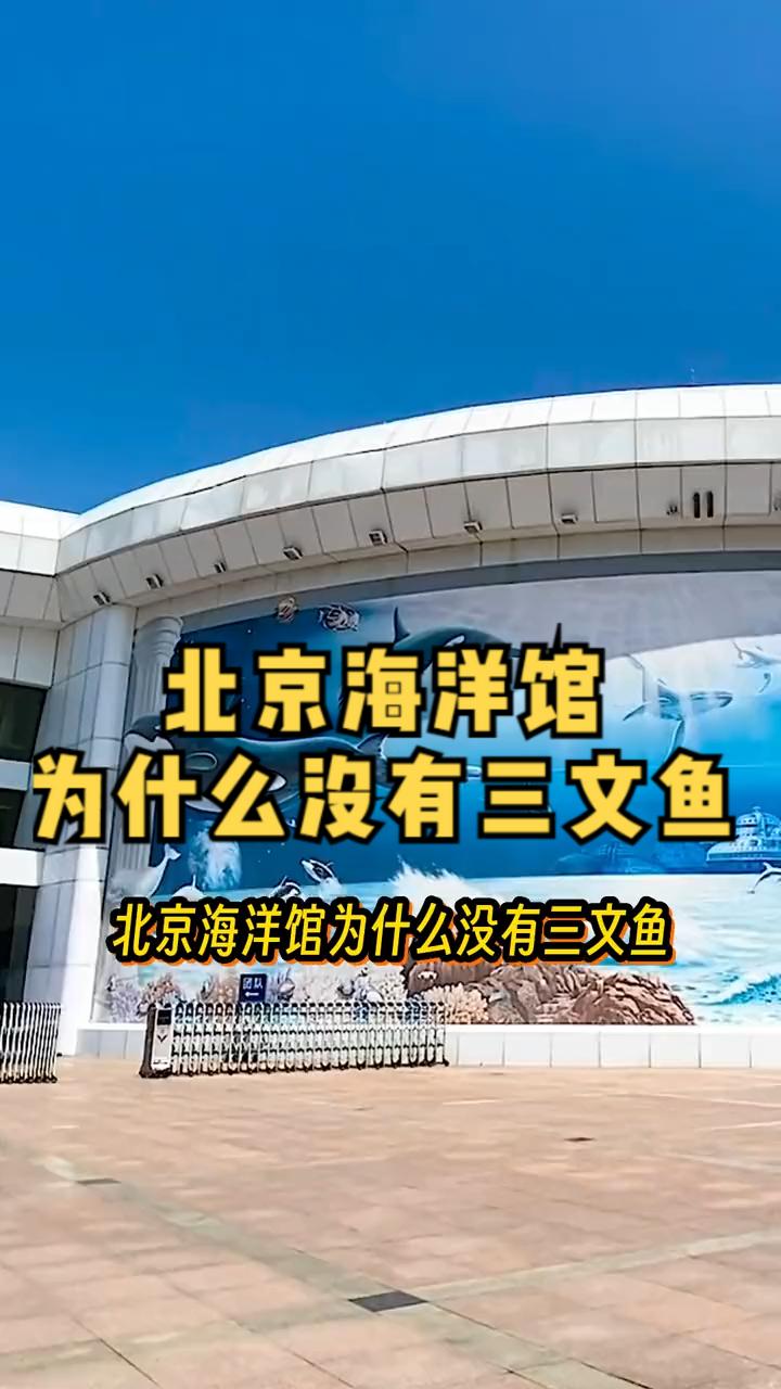 探秘北京海洋馆：为何不见三文鱼的身影？