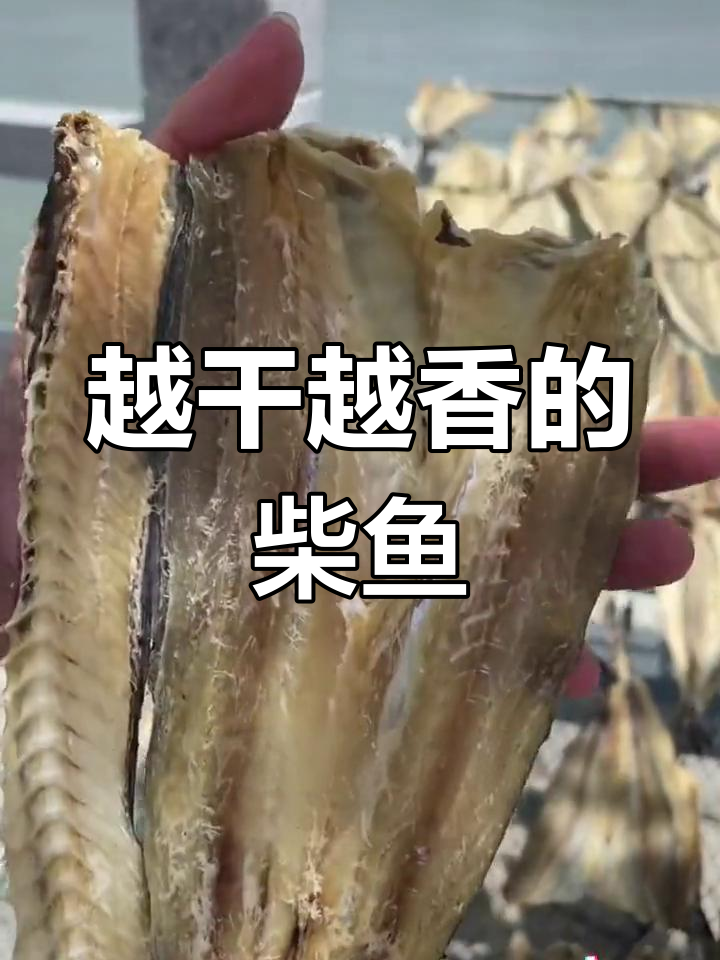柴鱼花生粥,香气扑鼻