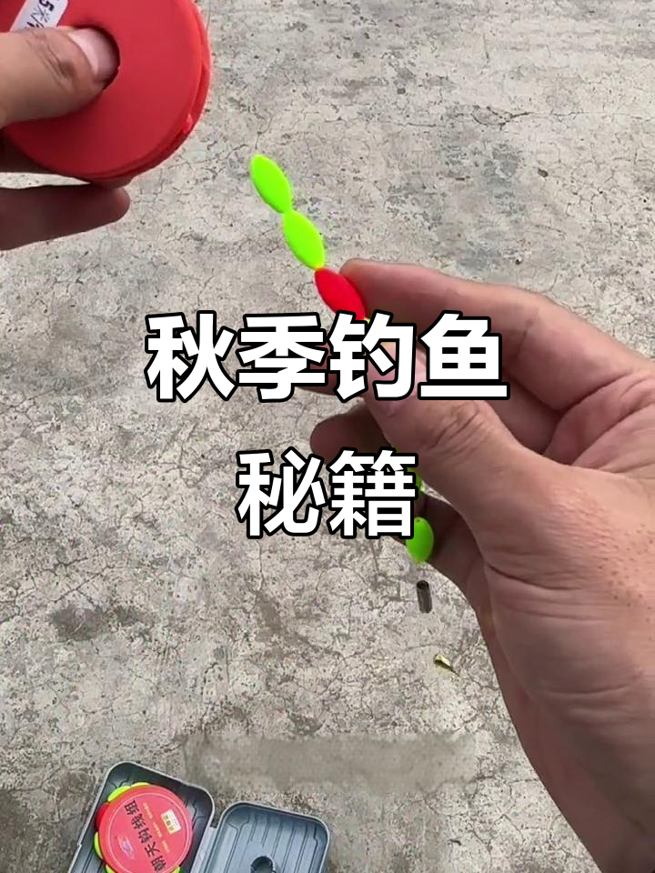 秋冬钓鲫鱼,大漂豆搭配重铅坠,省心又高效!