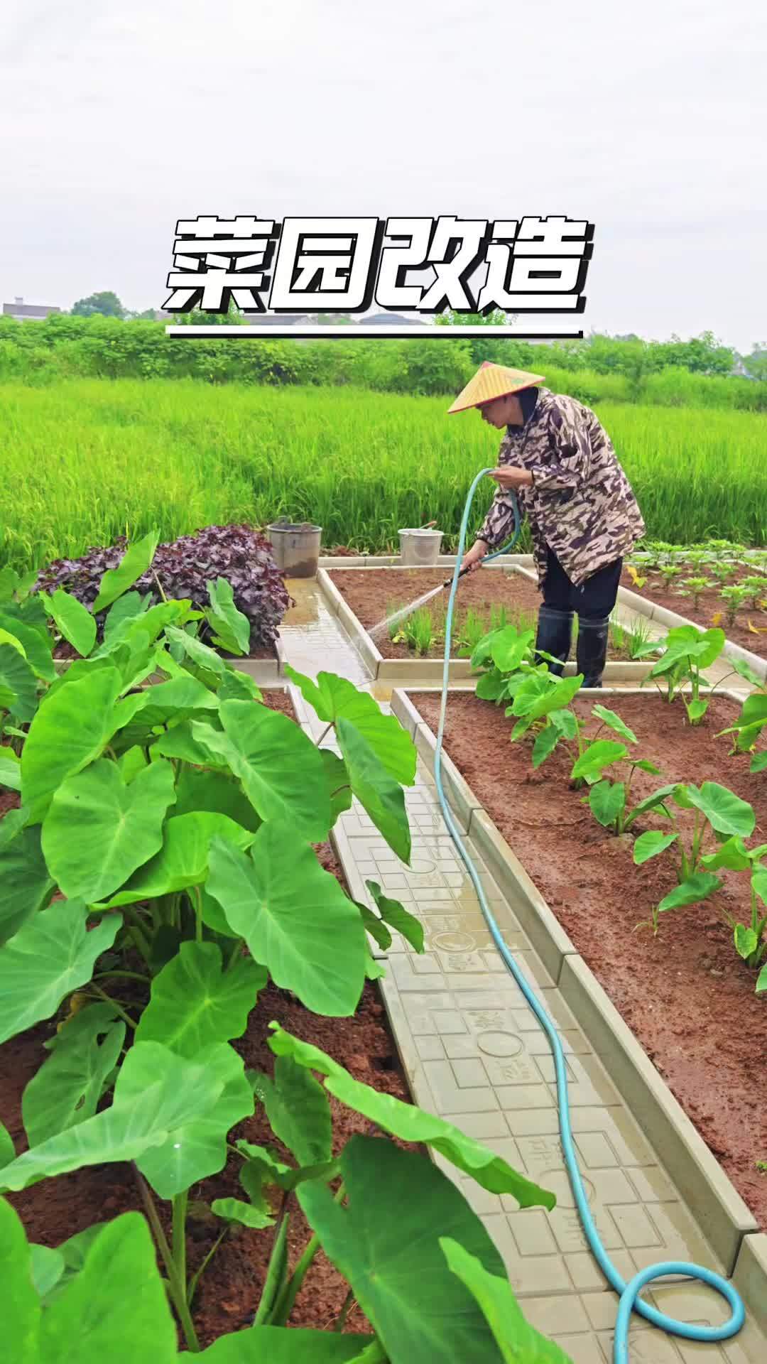 菜沟板 小院改造 庭院设计 新农村 菜地设计