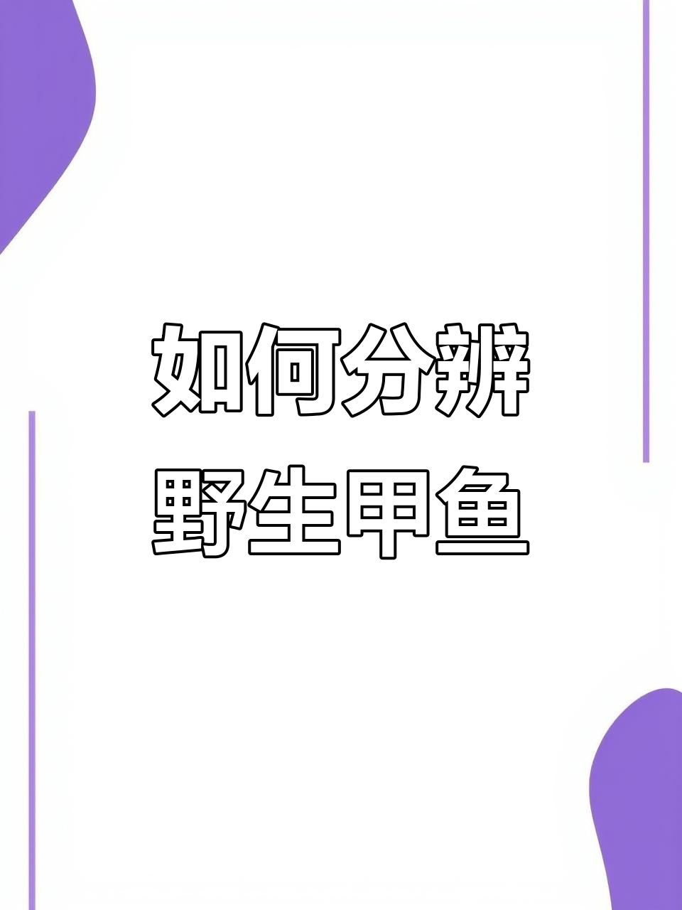 野生甲鱼辨别技巧：底板血丝、爪子和背部光亮全解析