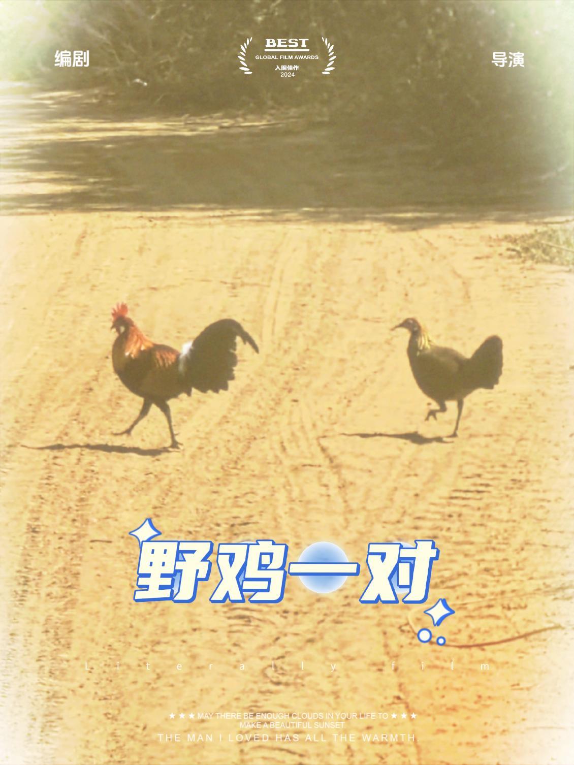 开车在老挝的路上遇见一公一母两只野鸡,这样的场景应该很多人没有遇到过 老挝农村生活 野鸡 