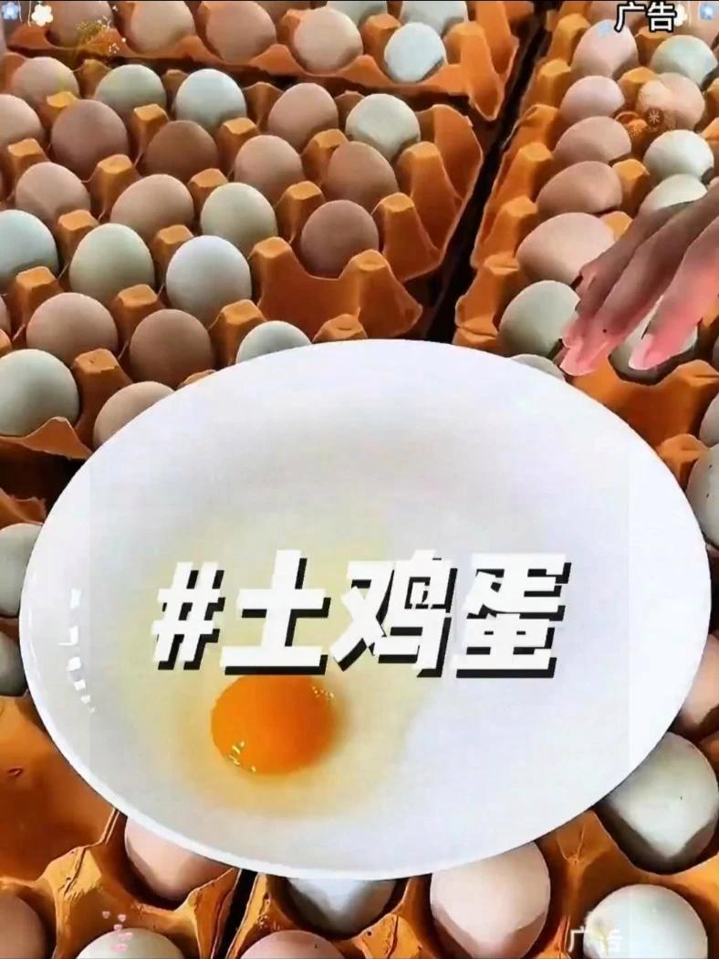 农村散养土鸡蛋 土鸡蛋 鸡蛋 超便宜超划算 散养土鸡蛋