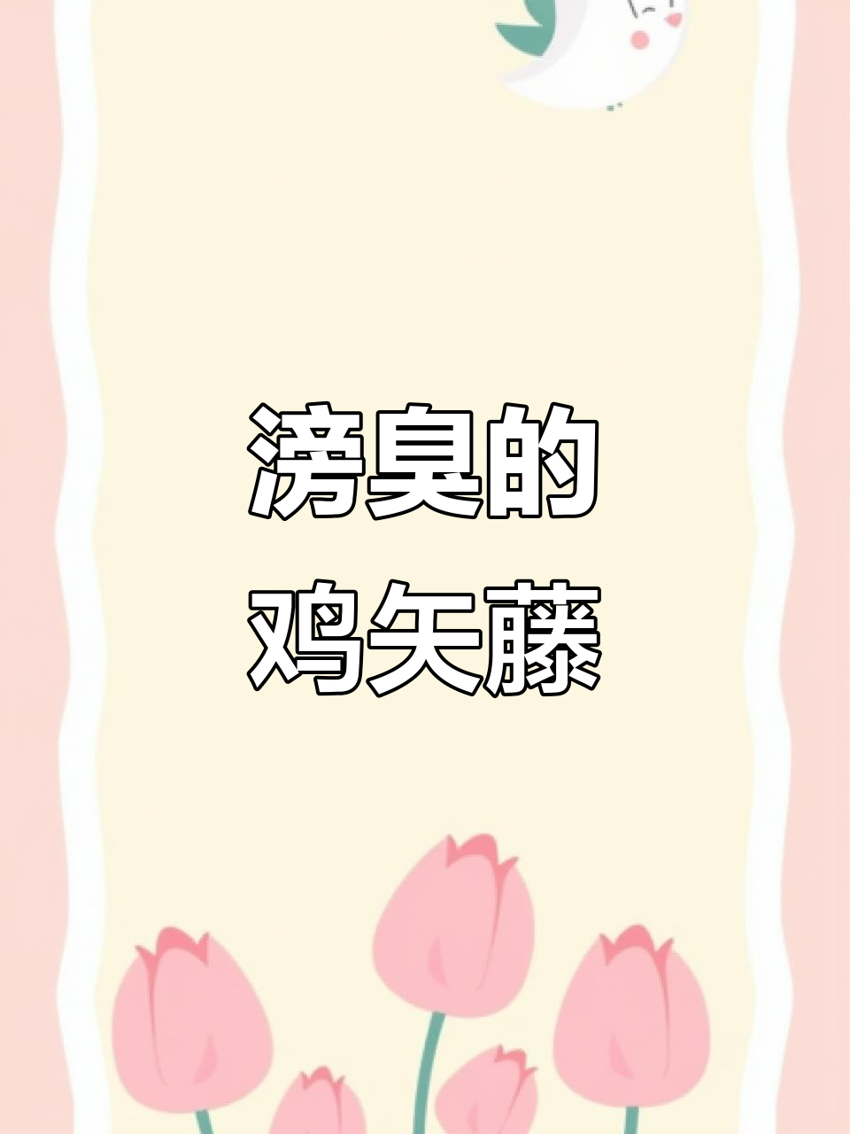 臭鸡矢藤虽难闻,却是中药宝藏