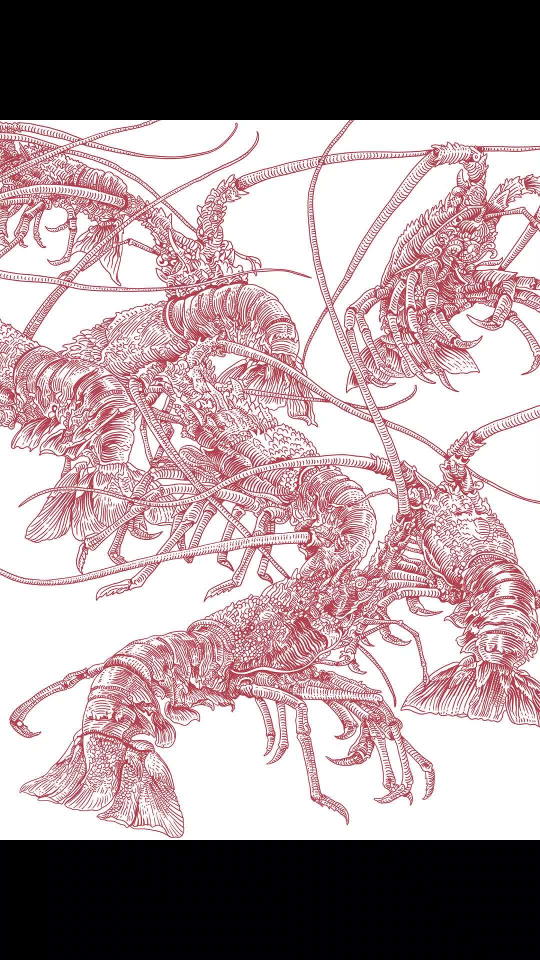 龙虾版画/农产品包装插画设计 龙虾 版画 农产品包装设计 食品包装设计 插画