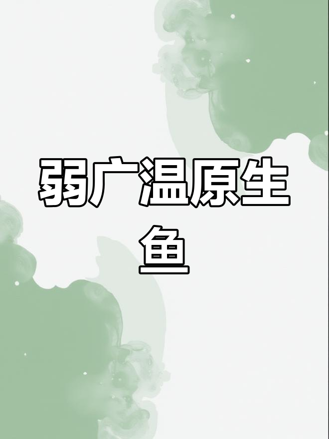 丽纹细鲫:广温性原生观赏鱼