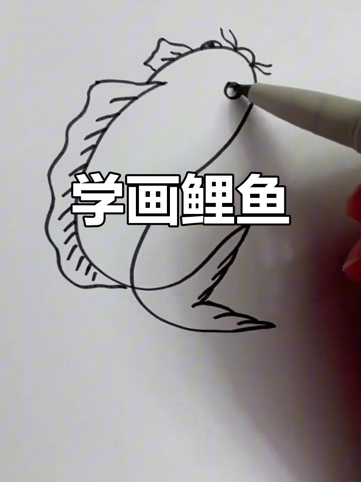 轻松学画鲤鱼,简单又好看