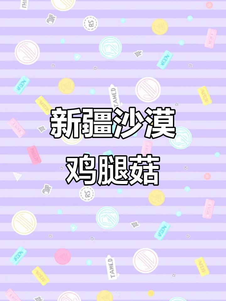 沙漠边上的野生鸡腿菇,嫩滑美味让人惊喜