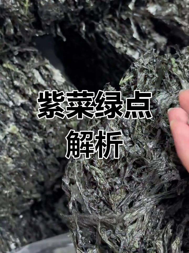 紫菜绿斑不是霉,是正常藻类,放心食用!