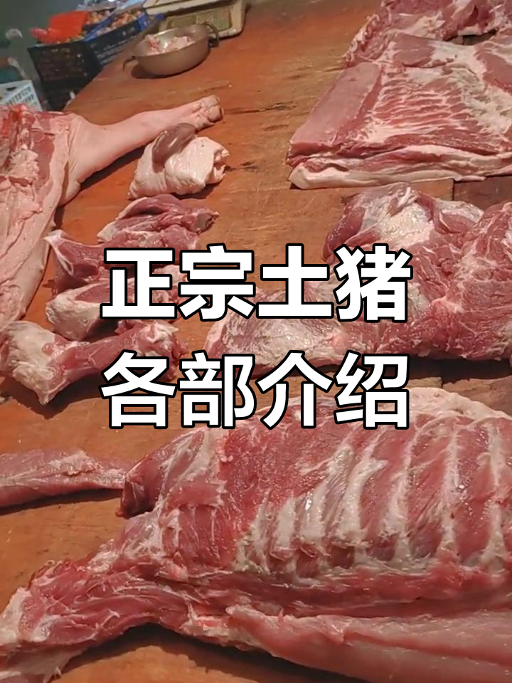 土猪肉全部位展示，排骨、里脊一应俱全
