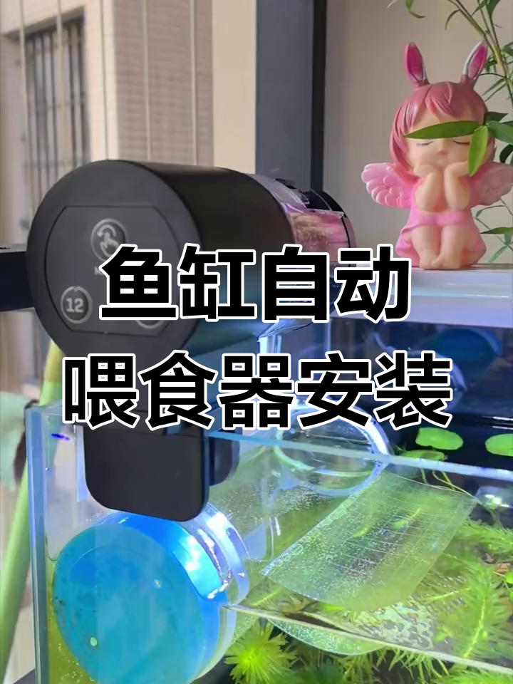 自动喂食器安装教程,轻松搞定鱼缸喂养
