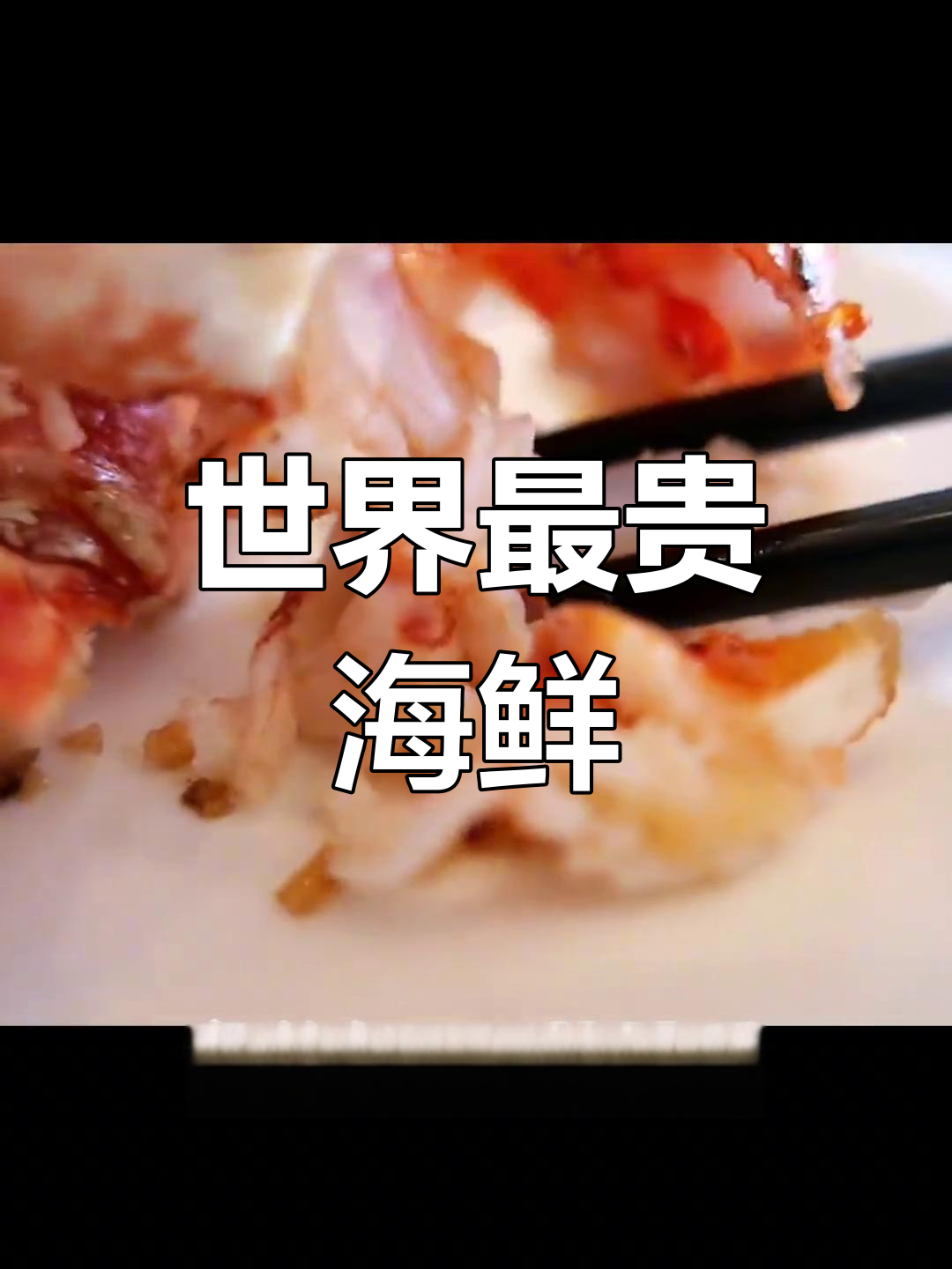 法国蓝龙虾:世界上最昂贵的海鲜