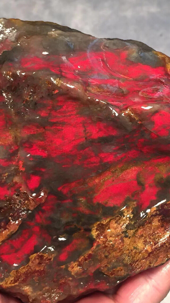 收藏级的老坑昌化鸡血石原石