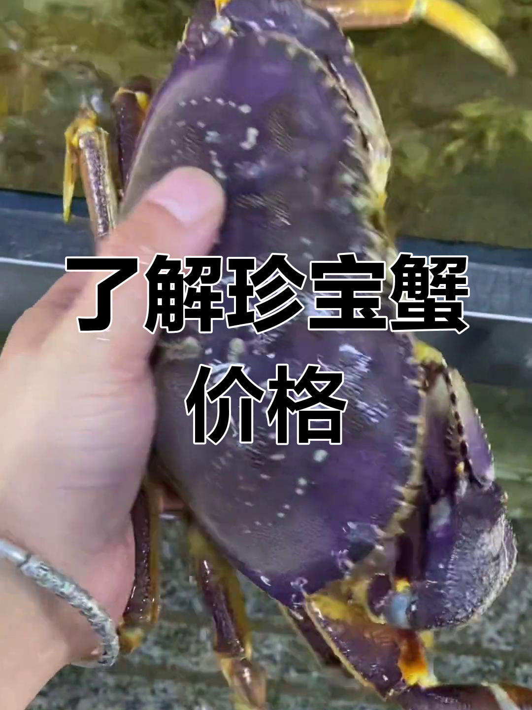 加拿大珍宝蟹揭秘:婚宴必备的高价美味
