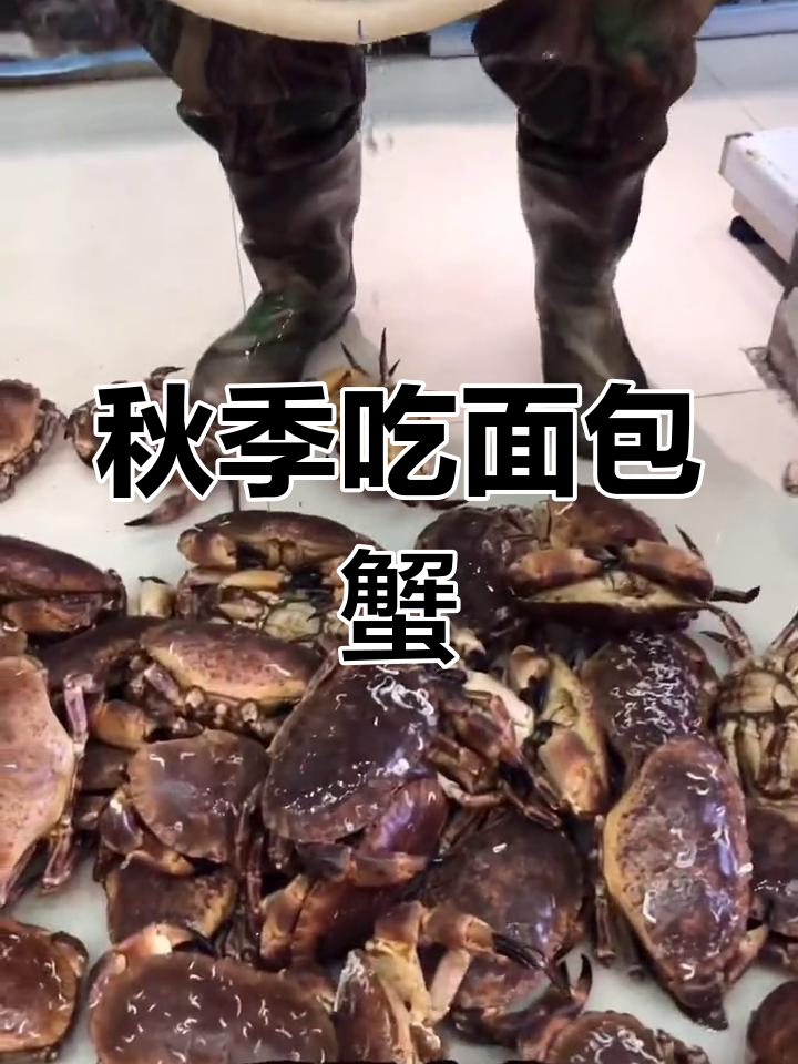 面包蟹的产地与最佳食用季节