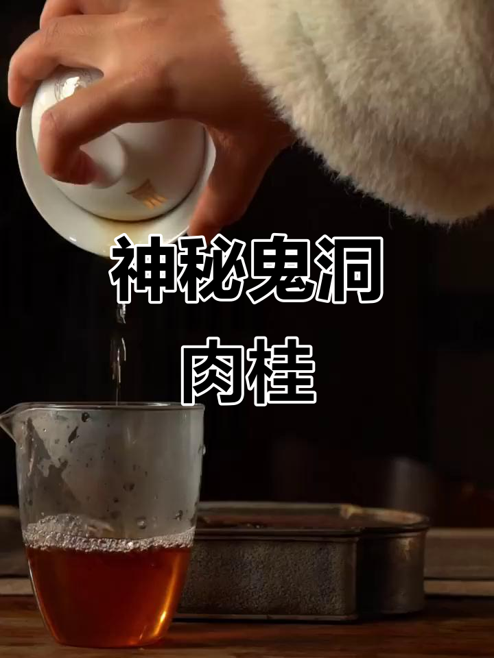 武夷山鬼洞肉桂,独特香气令人陶醉