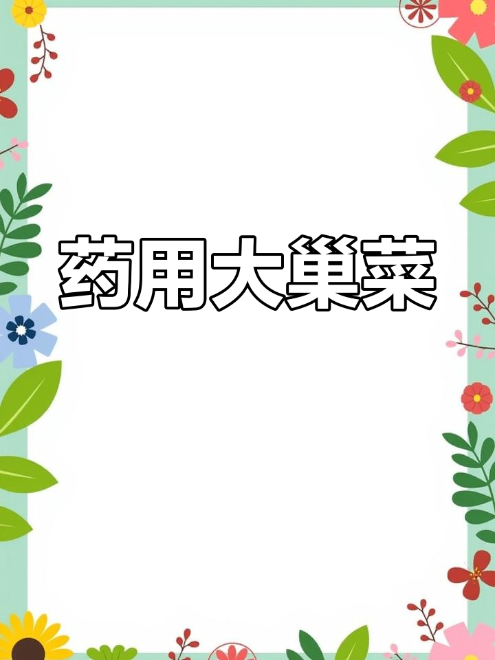 大巢菜,清热解毒、止血益肾的良药