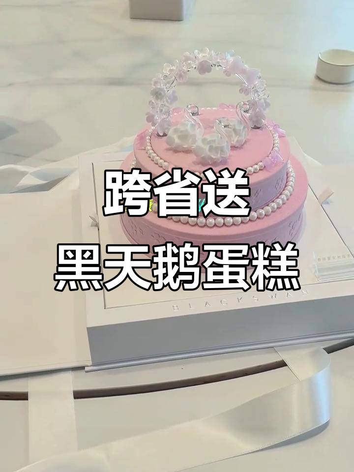 上海到桐乡送黑天鹅蛋糕,跨省跑腿挑战