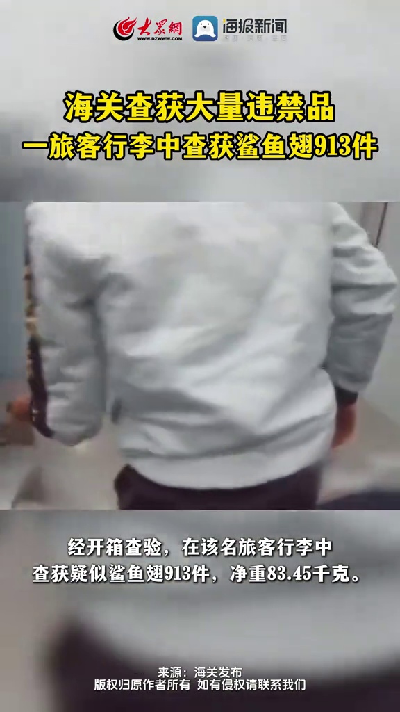 海关在一旅客行李中查获鲨鱼翅913件