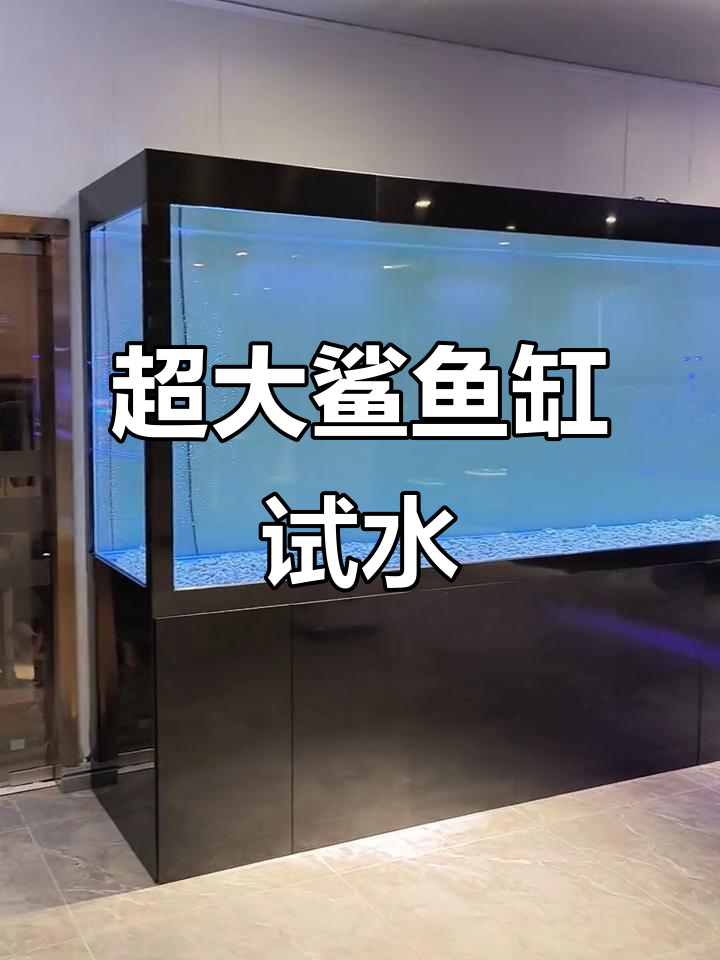 大型鲨鱼缸制作,4.5米不锈钢饰面鱼缸展示