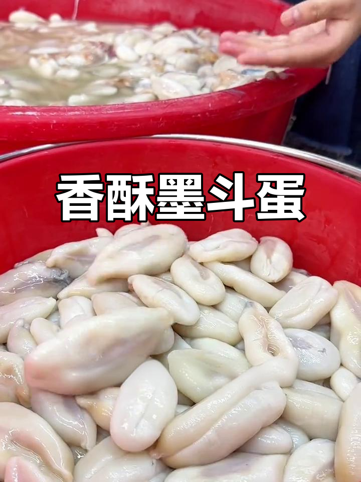 墨鱼卵煎蛋,外脆内嫩,香气扑鼻,让人欲罢不能!