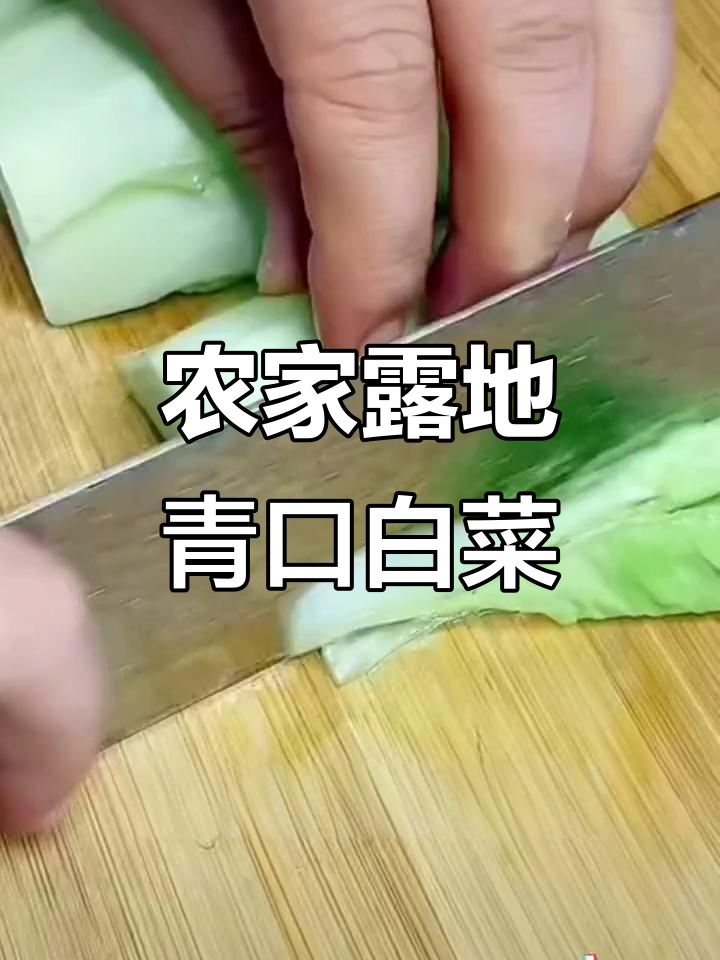 高山露天种植的青口白菜,炖豆腐鲜甜又健康!