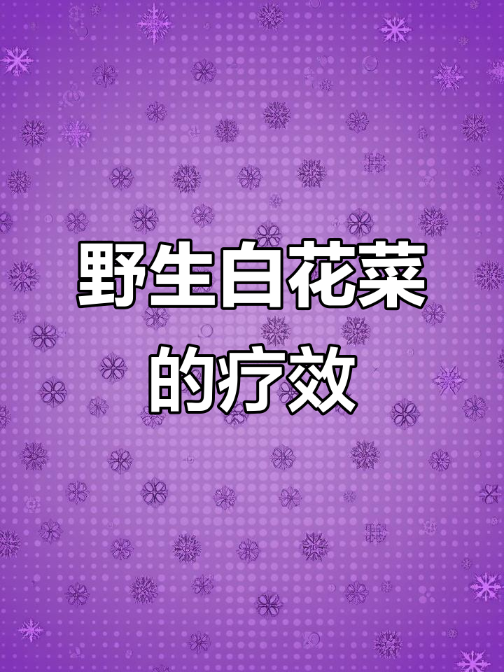 白花菜：农村常见野菜，药用价值高