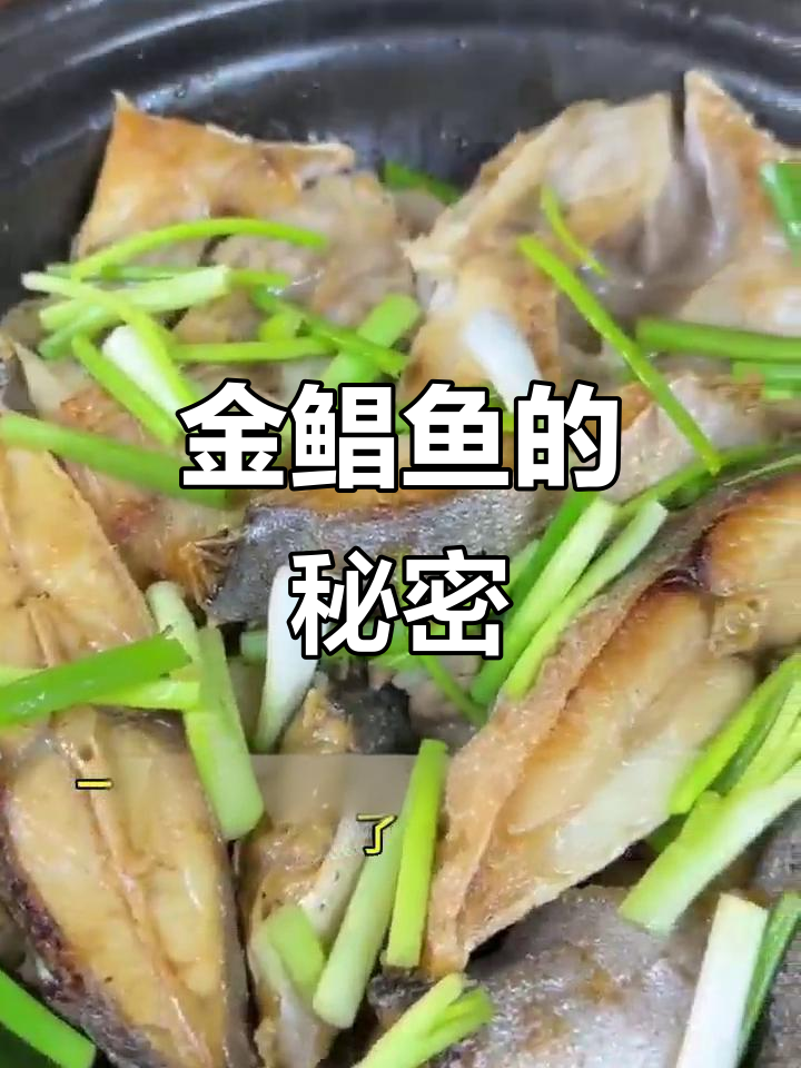 湛江深海金鲳鱼,为何成为美食界的佼佼者?