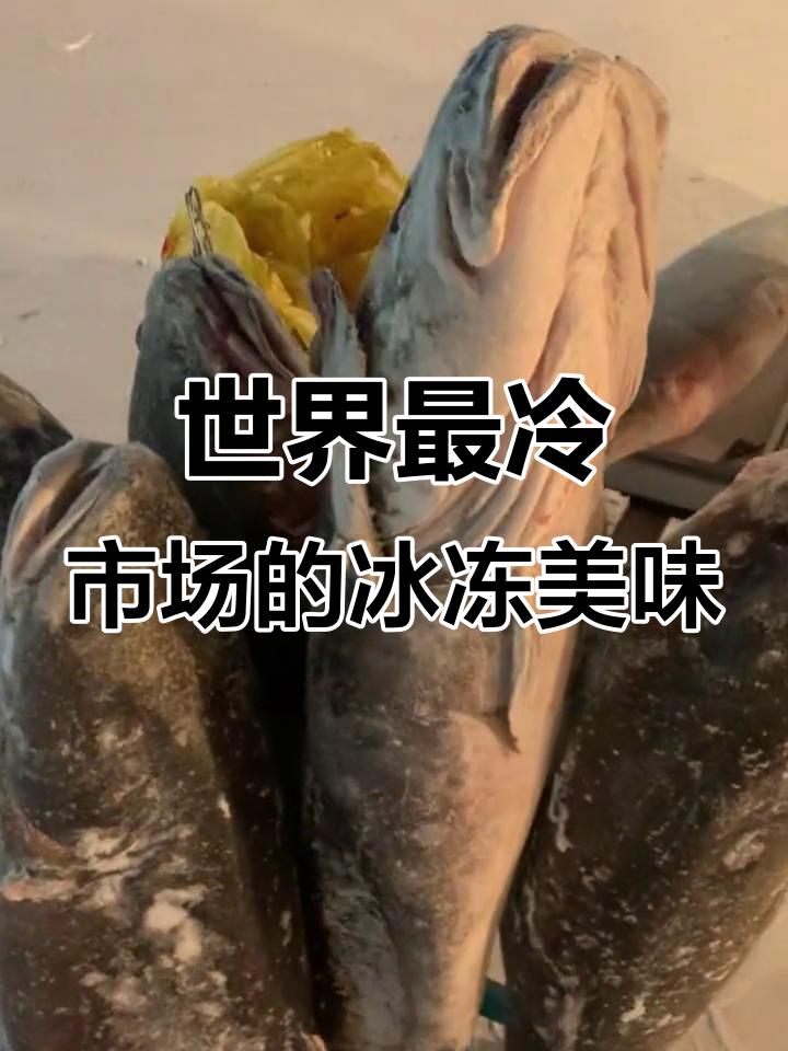 雅库茨克菜市场:零下六十度下的冻鱼与冰鲜美食