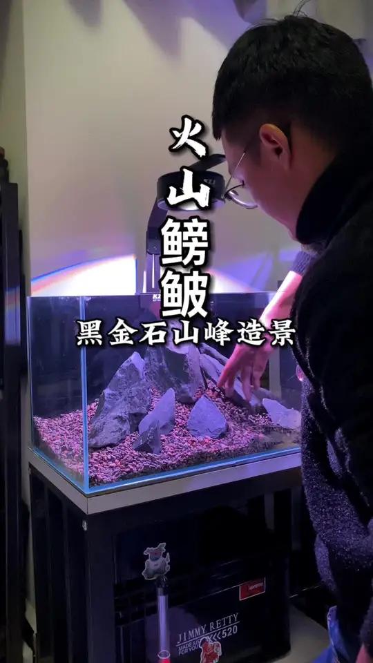顶配新手快乐缸,手搓的免打孔底滤,野采的溪流沙和黑金石,再养一群火山鳑鲏 虹吸底滤 火山鳑