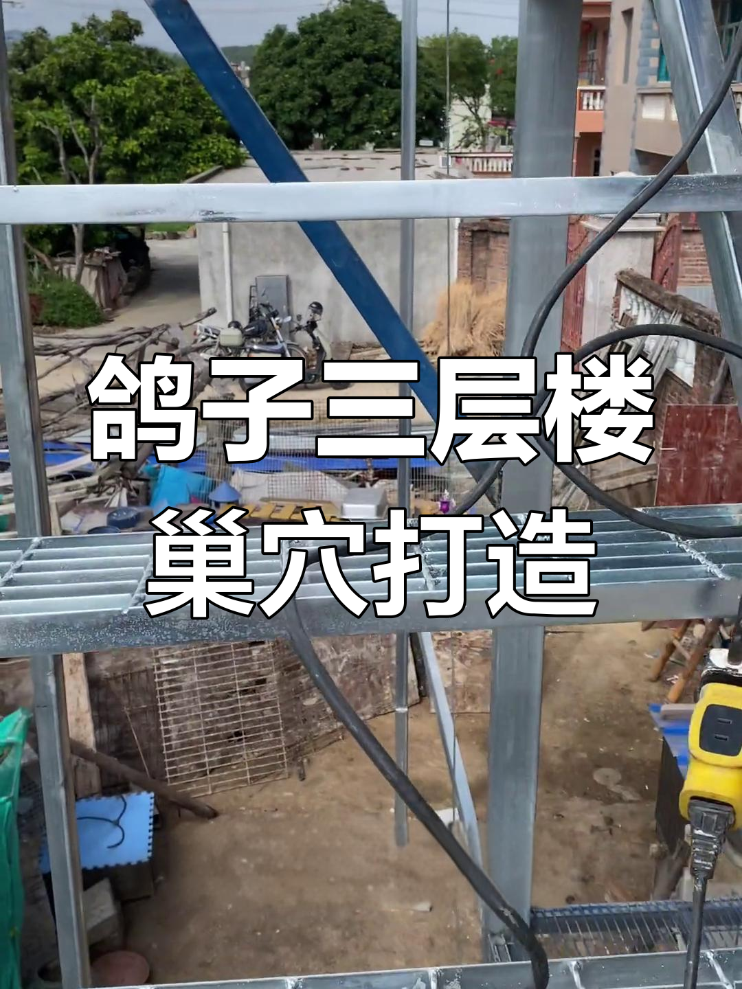 三层鸽舍建造全纪录:从设计到施工的每一步