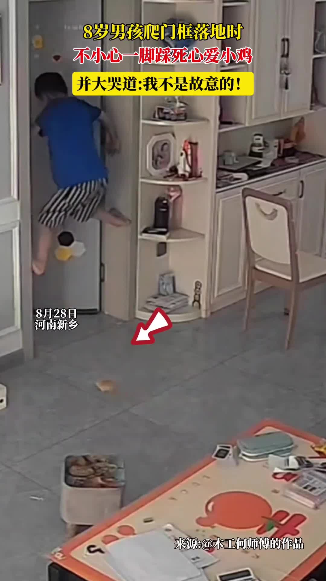 8岁男孩不慎踩死心爱的小鸡大哭:“我不是故意的!”爸爸:哭了一下午,一直说对不起小鸡。最后