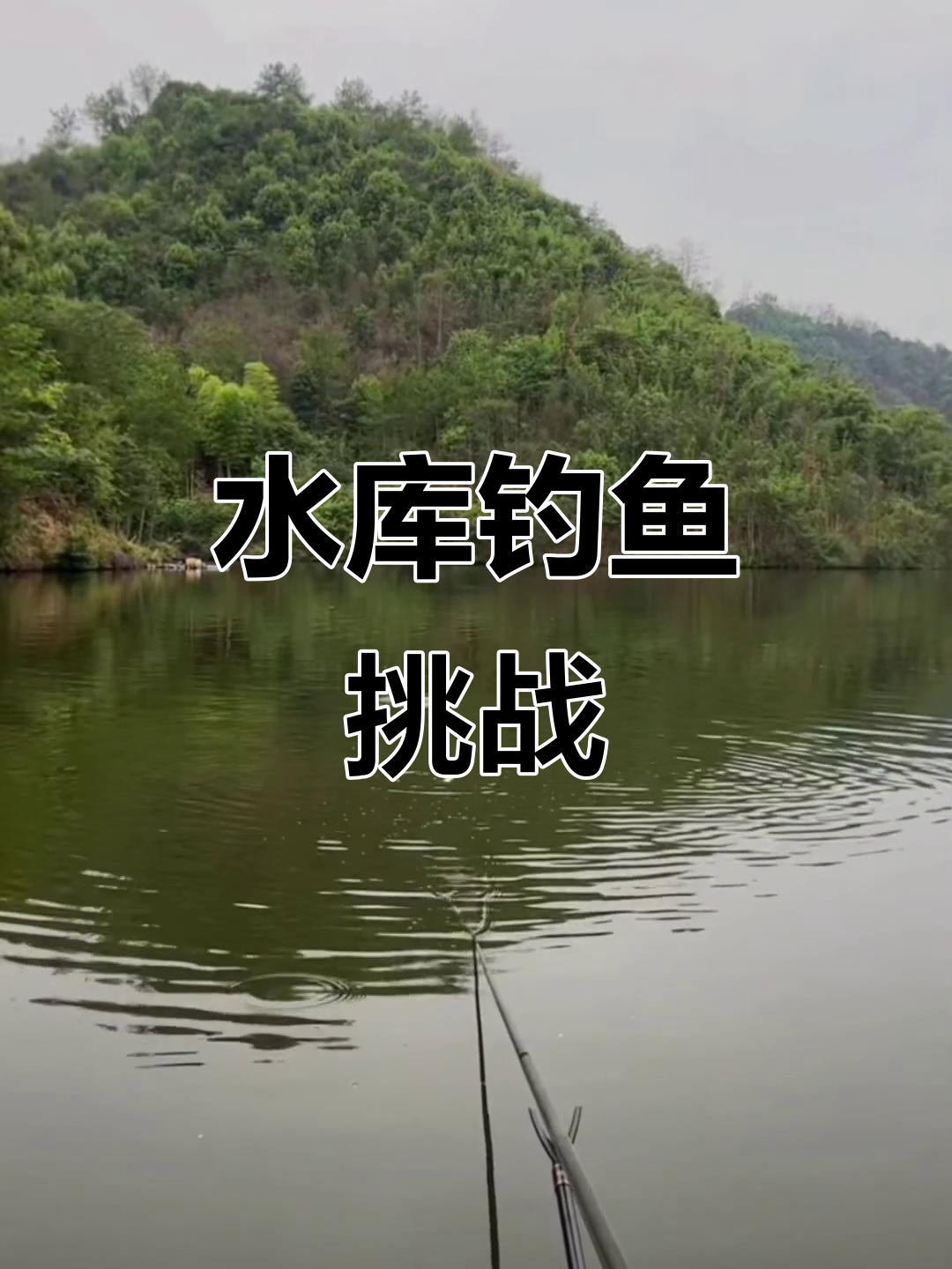 江西水库钓巨物，挑战六十斤大鱼！