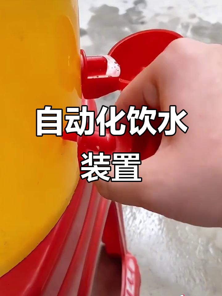 自动饮水器让养鸡鸭鹅更省心,喝水自动补给
