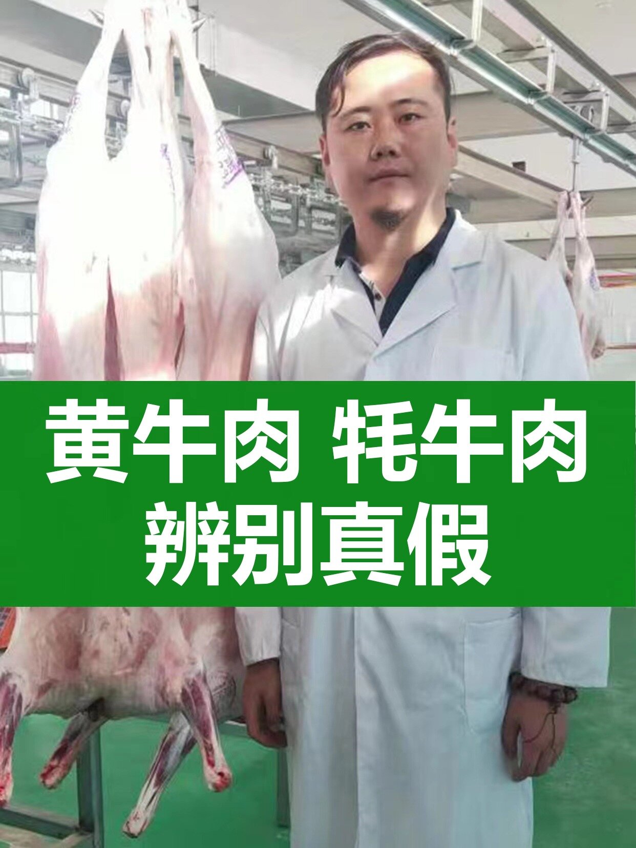 黄牛肉和牦牛肉,如何辨别真假