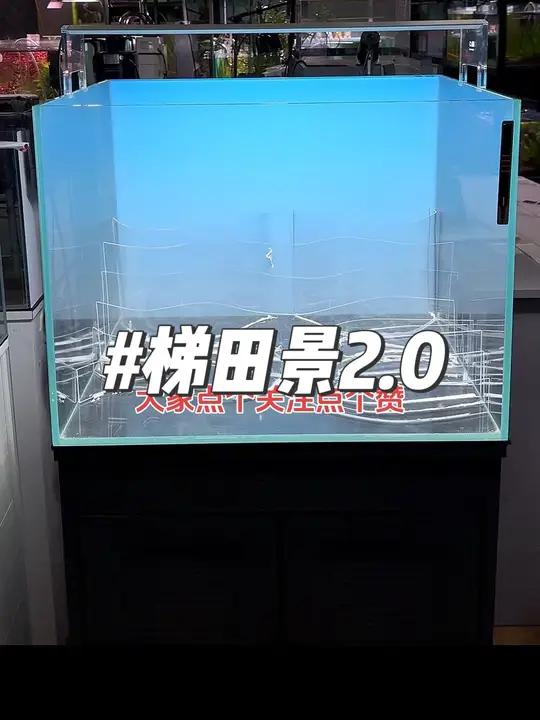 梯田景2.0版本他来啦 鱼缸里的大自然 观赏鱼 养鱼养心 鱼缸造景 造景