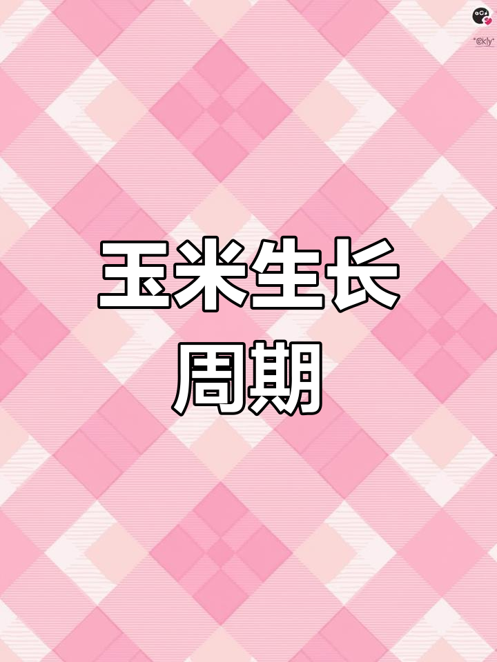 玉米生长全过程揭秘
